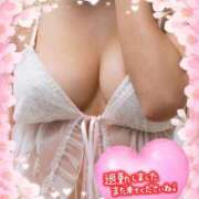 ヒメ日記 2025/03/29 18:01 投稿 ゆま 水戸人妻花壇