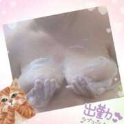 ヒメ日記 2025/04/12 12:33 投稿 ゆま 水戸人妻花壇