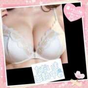 ヒメ日記 2025/04/27 16:30 投稿 ゆま 水戸人妻花壇