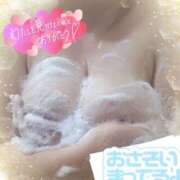 ヒメ日記 2025/07/26 11:07 投稿 ゆま 水戸人妻花壇