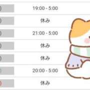 ヒメ日記 2024/12/16 00:09 投稿 いろは 川崎・東横人妻城
