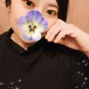 ヒメ日記 2024/12/23 18:16 投稿 いろは 川崎・東横人妻城