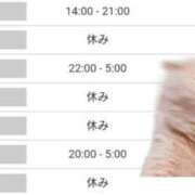 ヒメ日記 2025/02/16 22:04 投稿 いろは 川崎・東横人妻城