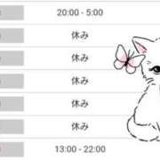 ヒメ日記 2025/03/16 21:18 投稿 いろは 川崎・東横人妻城