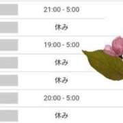 ヒメ日記 2025/03/30 21:03 投稿 いろは 川崎・東横人妻城