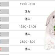 ヒメ日記 2025/05/25 20:48 投稿 いろは 川崎・東横人妻城