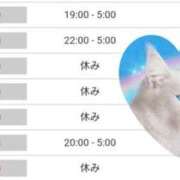 ヒメ日記 2025/06/22 21:48 投稿 いろは 川崎・東横人妻城