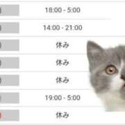 ヒメ日記 2025/06/29 23:03 投稿 いろは 川崎・東横人妻城