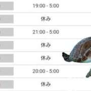 ヒメ日記 2025/07/20 22:48 投稿 いろは 川崎・東横人妻城