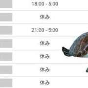 ヒメ日記 2025/08/03 21:00 投稿 いろは 川崎・東横人妻城