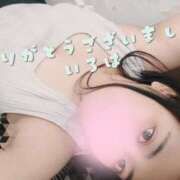 ヒメ日記 2025/09/20 20:05 投稿 いろは 川崎・東横人妻城