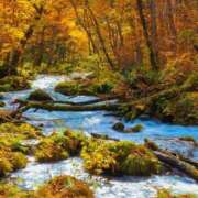 ヒメ日記 2024/12/14 08:42 投稿 みらい☆スレンダー美BODY ジャックと豆の木