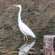 ヒメ日記 2025/03/18 14:15 投稿 みらい☆スレンダー美BODY ジャックと豆の木