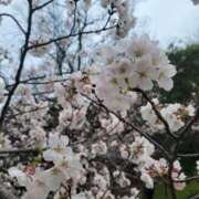 ヒメ日記 2025/03/31 14:45 投稿 みらい☆スレンダー美BODY ジャックと豆の木