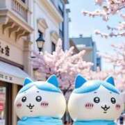 ヒメ日記 2025/04/07 10:35 投稿 みらい☆スレンダー美BODY ジャックと豆の木