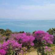 ヒメ日記 2025/04/28 09:20 投稿 みらい☆スレンダー美BODY ジャックと豆の木