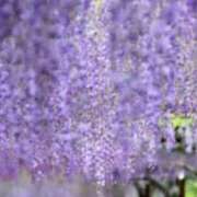 ヒメ日記 2025/04/29 08:50 投稿 みらい☆スレンダー美BODY ジャックと豆の木