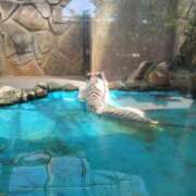 ヒメ日記 2025/07/07 16:13 投稿 みらい☆スレンダー美BODY ジャックと豆の木