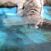 ヒメ日記 2025/09/06 08:58 投稿 みらい☆スレンダー美BODY ジャックと豆の木