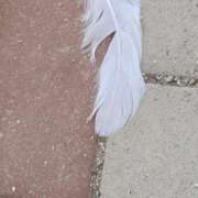 ヒメ日記 2025/11/01 09:51 投稿 みらい☆スレンダー美BODY ジャックと豆の木