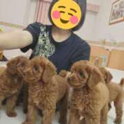 ヒメ日記 2025/11/21 09:51 投稿 みらい☆スレンダー美BODY ジャックと豆の木