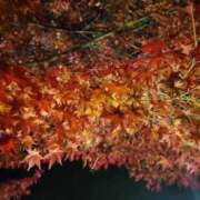 ヒメ日記 2025/11/30 15:09 投稿 みらい☆スレンダー美BODY ジャックと豆の木