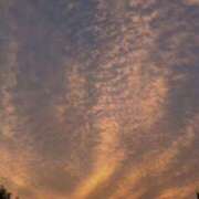 ヒメ日記 2025/10/08 20:28 投稿 しょうこ 奥鉄オクテツ東京店（デリヘル市場）