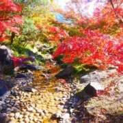 ヒメ日記 2025/11/26 19:44 投稿 ひろみ☆超ドM な人妻の初挑戦 ジャックと豆の木