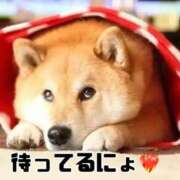 ヒメ日記 2025/11/27 20:30 投稿 ひろみ☆超ドM な人妻の初挑戦 ジャックと豆の木