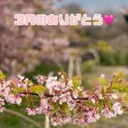 ヒメ日記 2026/03/31 09:15 投稿 ひろみ☆超ドM な人妻の初挑戦 ジャックと豆の木