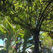 あやか お久しぶりです 熟女の風俗最終章 池袋店