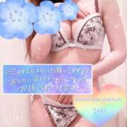 ヒメ日記 2025/08/26 12:22 投稿 さき☆新人2000円OFF AROMA LUXE PLATINUM 宮崎