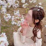 ヒメ日記 2025/04/01 06:30 投稿 藤堂すみれ 密着ヌルヌル 高級やみつきエステ厚木店