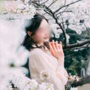 ヒメ日記 2025/05/02 12:33 投稿 藤堂すみれ 密着ヌルヌル 高級やみつきエステ厚木店