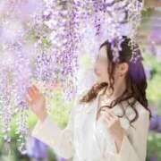 ヒメ日記 2025/05/31 09:55 投稿 藤堂すみれ 密着ヌルヌル 高級やみつきエステ厚木店