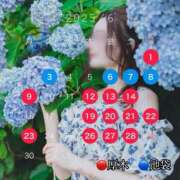 ヒメ日記 2025/05/31 16:35 投稿 藤堂すみれ 密着ヌルヌル 高級やみつきエステ厚木店