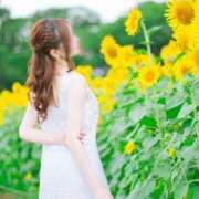 ヒメ日記 2025/07/31 18:19 投稿 藤堂すみれ 密着ヌルヌル 高級やみつきエステ厚木店