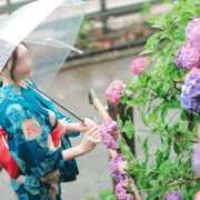 ヒメ日記 2025/08/11 12:58 投稿 藤堂すみれ 密着ヌルヌル 高級やみつきエステ厚木店