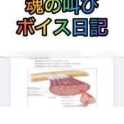 ヒメ日記 2026/03/03 04:18 投稿 藤堂すみれ 密着ヌルヌル 高級やみつきエステ厚木店