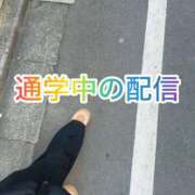 ヒメ日記 2026/03/11 11:12 投稿 藤堂すみれ 密着ヌルヌル 高級やみつきエステ厚木店