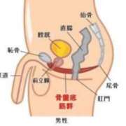 ヒメ日記 2025/02/13 01:37 投稿 かいり Welcome Cafe(ウェルカムカフェ) 八王子本店