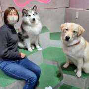 ヒメ日記 2025/03/06 14:27 投稿 かいり Welcome Cafe(ウェルカムカフェ) 八王子本店