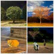 ヒメ日記 2025/03/06 02:45 投稿 ユリノ【特別指名料】 京都 泡洗体ハイブリッドエステ PUPPY LOVE 京都駅前本店