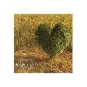 ヒメ日記 2025/03/08 12:05 投稿 ユリノ【特別指名料】 京都 泡洗体ハイブリッドエステ PUPPY LOVE 京都駅前本店