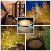 ヒメ日記 2025/03/13 12:06 投稿 ユリノ【特別指名料】 京都 泡洗体ハイブリッドエステ PUPPY LOVE 京都駅前本店