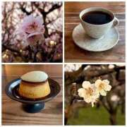 ヒメ日記 2025/03/21 12:05 投稿 ユリノ【特別指名料】 京都 泡洗体ハイブリッドエステ PUPPY LOVE 京都駅前本店