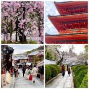 ヒメ日記 2025/04/05 21:55 投稿 ユリノ【特別指名料】 京都 泡洗体ハイブリッドエステ PUPPY LOVE 京都駅前本店