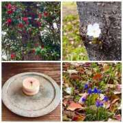 ヒメ日記 2025/04/05 23:15 投稿 ユリノ【特別指名料】 京都 泡洗体ハイブリッドエステ PUPPY LOVE 京都駅前本店