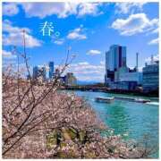 ヒメ日記 2025/04/09 12:25 投稿 ユリノ【特別指名料】 京都 泡洗体ハイブリッドエステ PUPPY LOVE 京都駅前本店