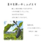 ヒメ日記 2025/07/15 21:15 投稿 ユリノ【特別指名料】 京都 泡洗体ハイブリッドエステ PUPPY LOVE 京都駅前本店